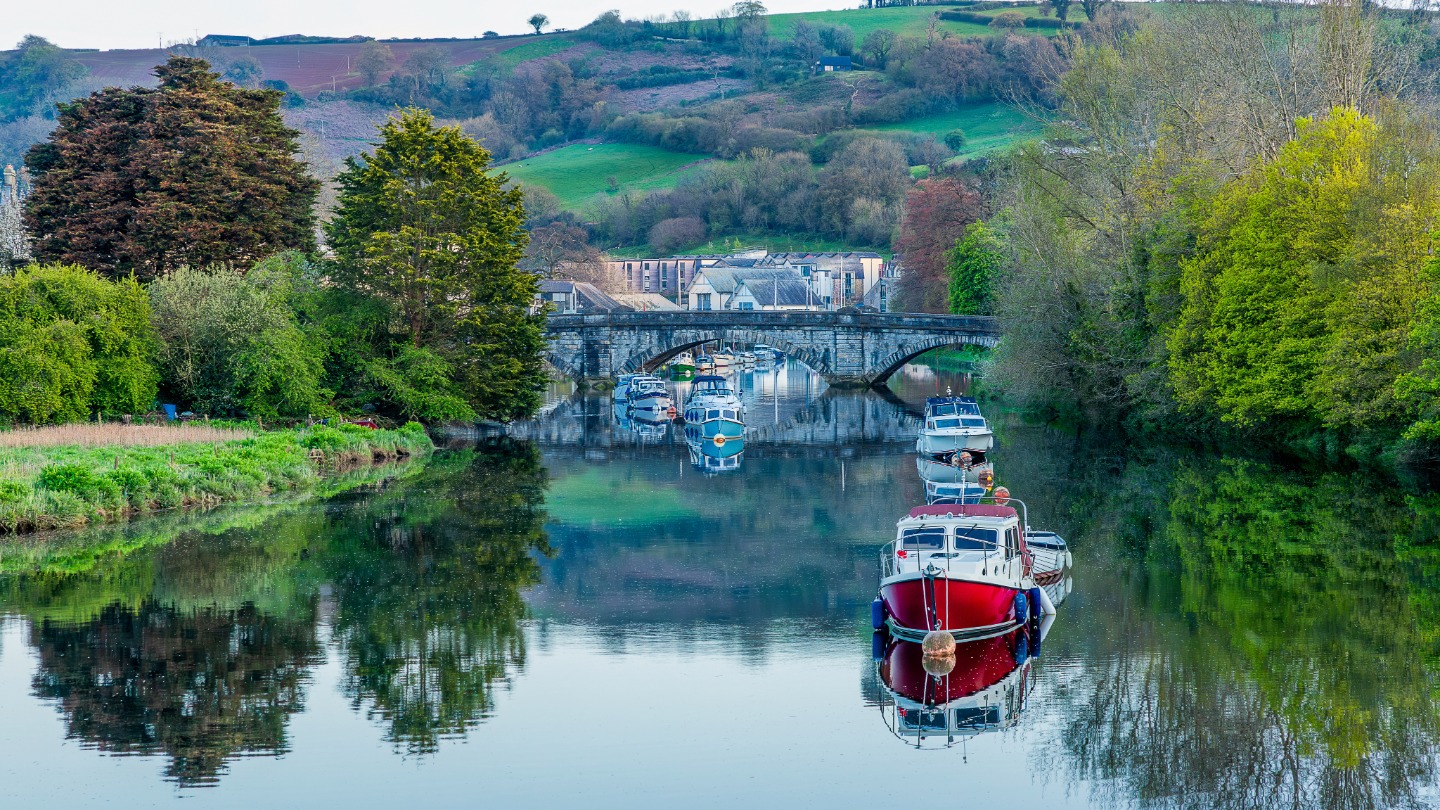 What Makes Sourdough in Totnes Unique? A Devon Baker’s Take